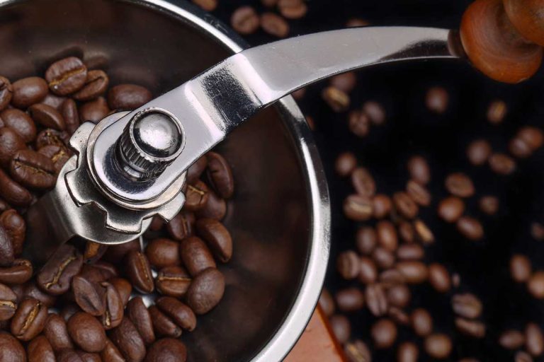 How to Clean Burr Grinders Important Maintenance Tips