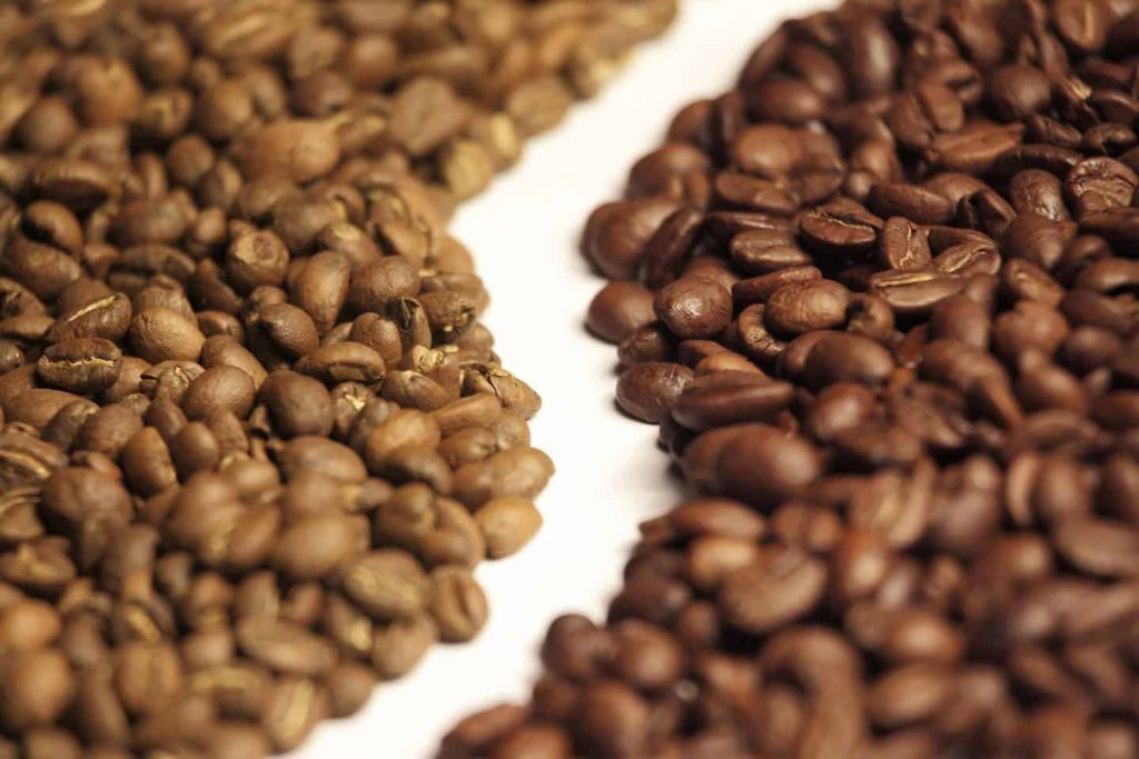 arabica vs robusta beans