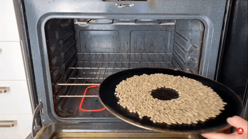 A baking sheet with green coffee beans being placed into an oven.