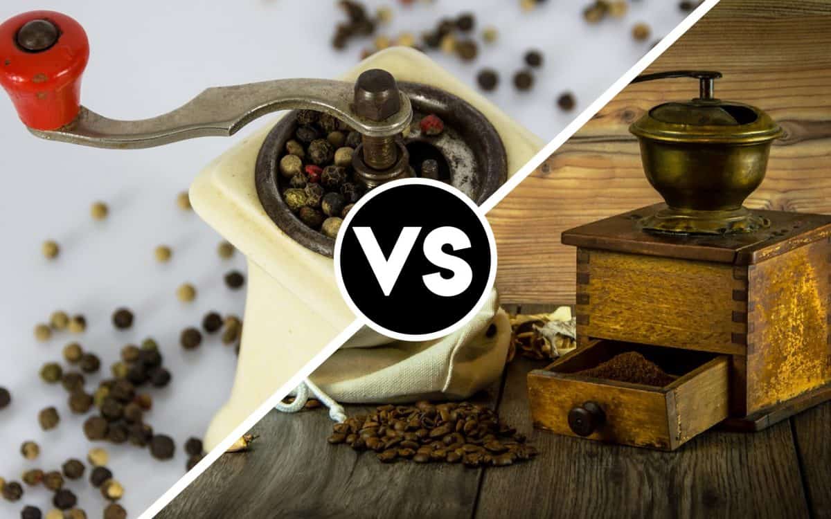 Spice Grinders vs Coffee Grinders Key Differences In 2024