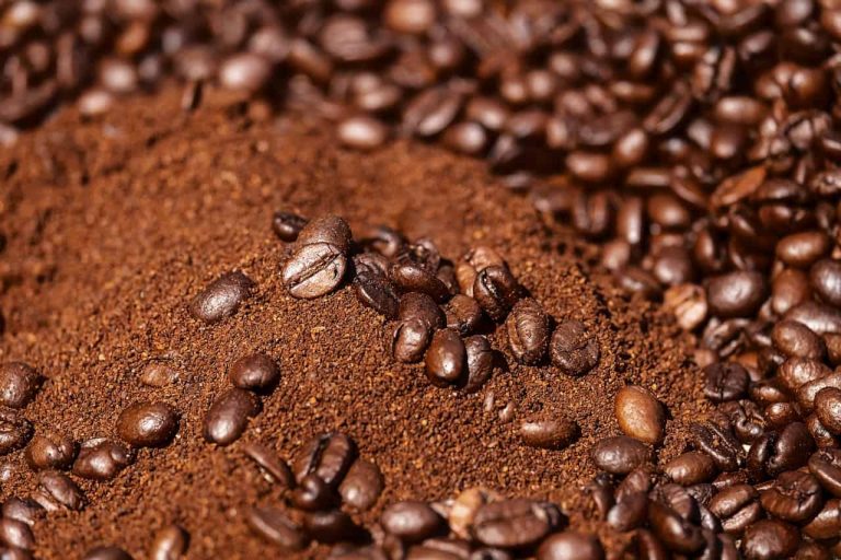 Whole Bean vs Ground Coffee Which Should You Buy?
