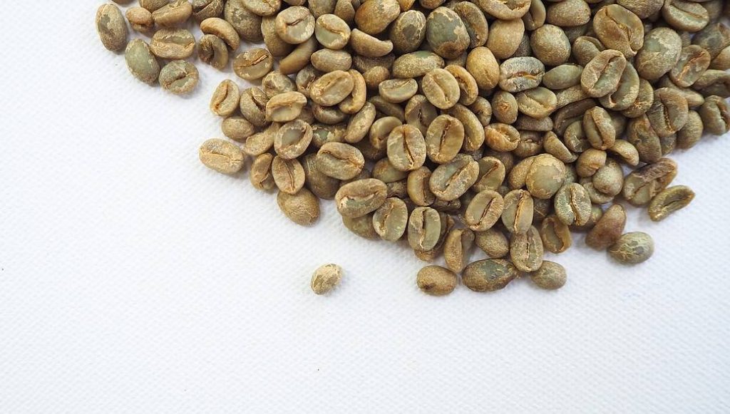 raw coffee beans