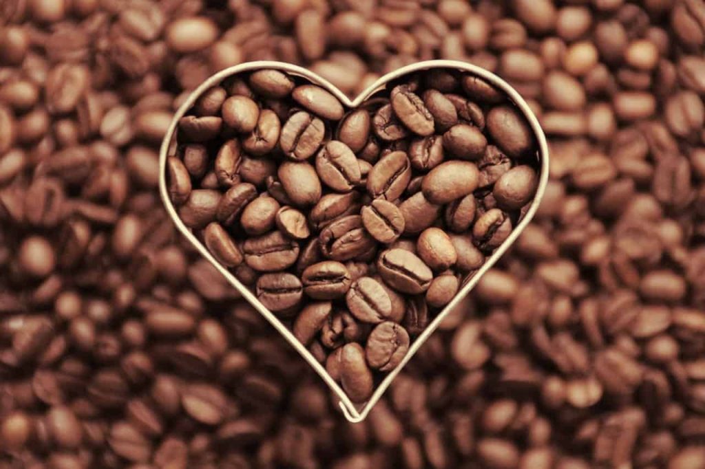 best medium roast coffee beans