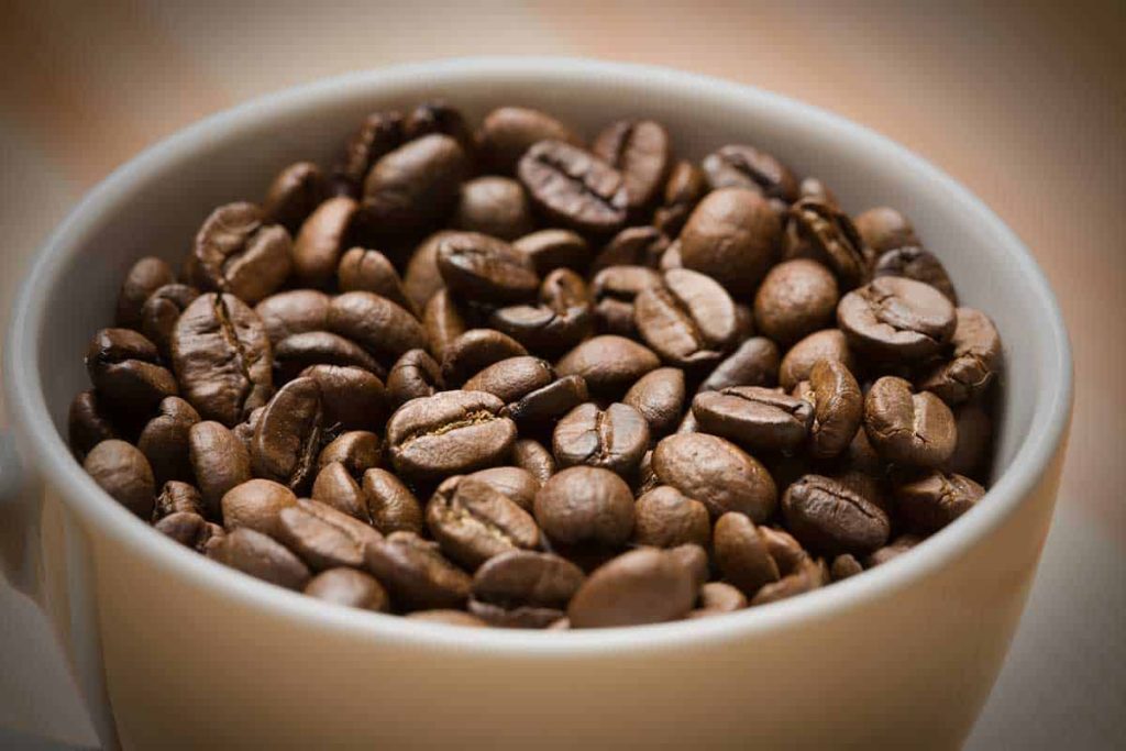best light roast coffee beans