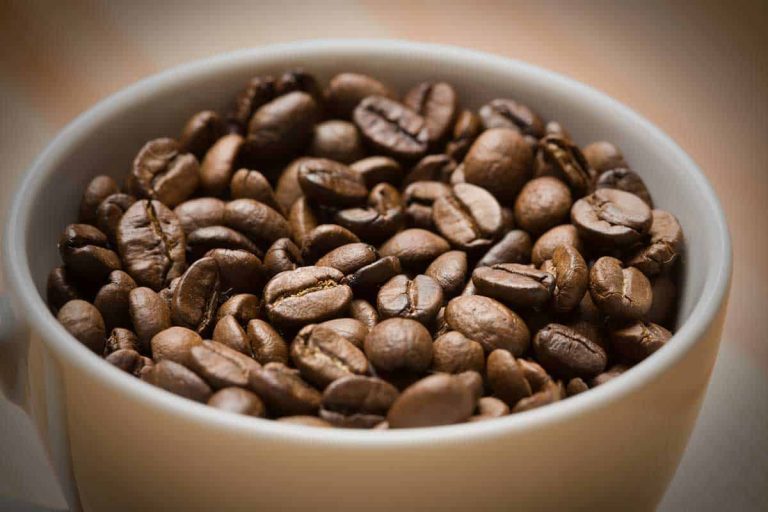 10 Best Light Roast Coffee Beans (2023 Reviews)