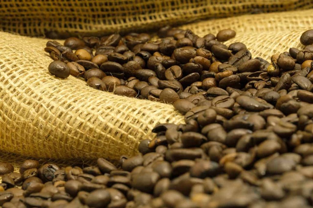 best organic coffee beans