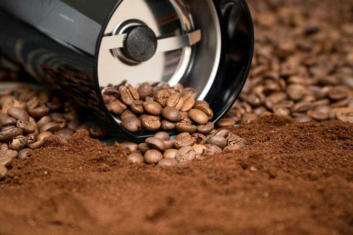 7 Best Budget Coffee Grinders (2024 Reviews)