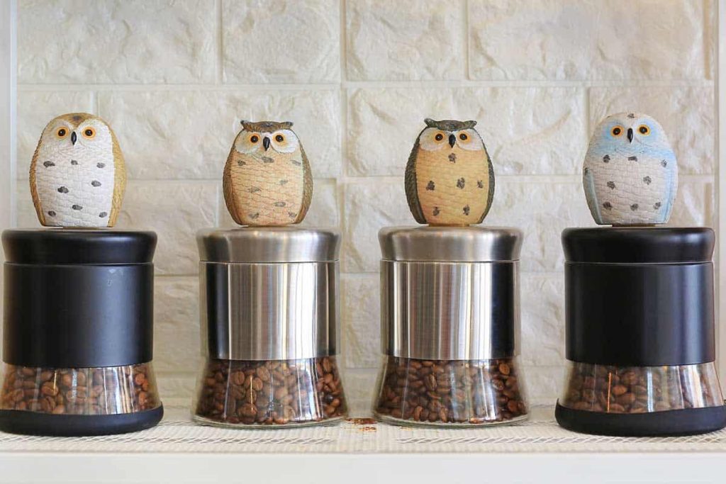 best coffee bean storage