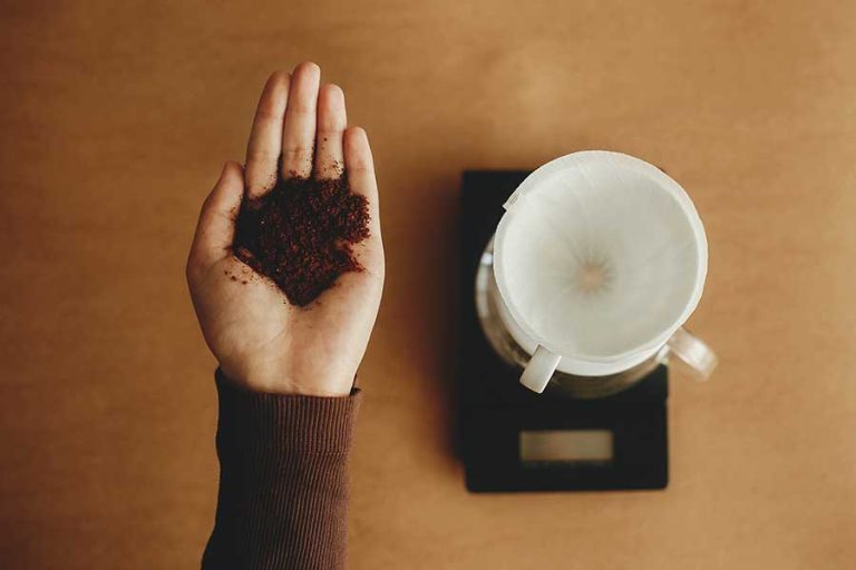 Best Grind for Drip Coffee (And Why It Matters)