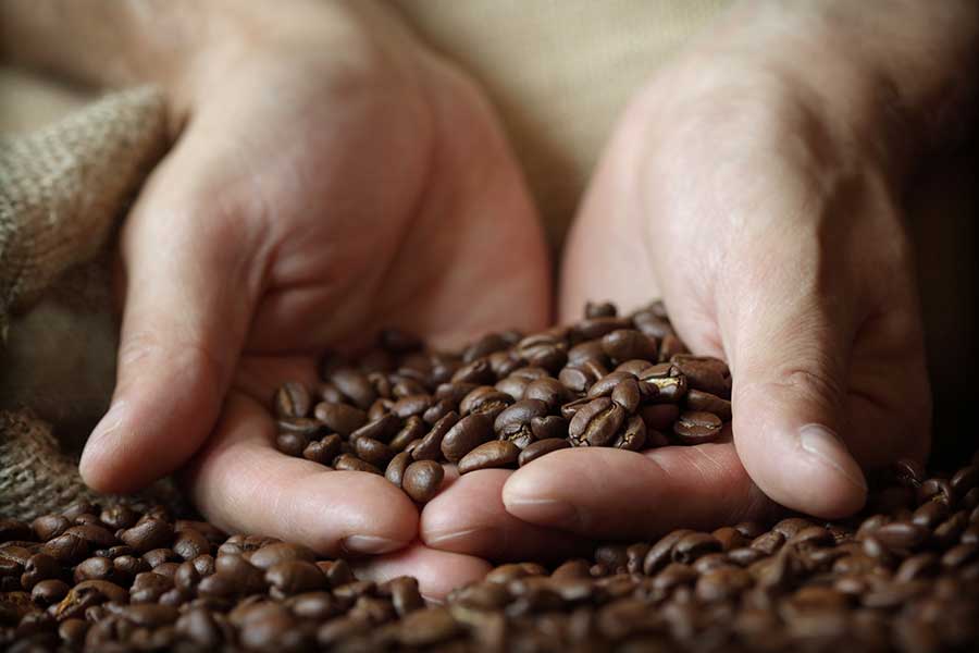 Can You Use Regular Coffee Beans for Espresso?