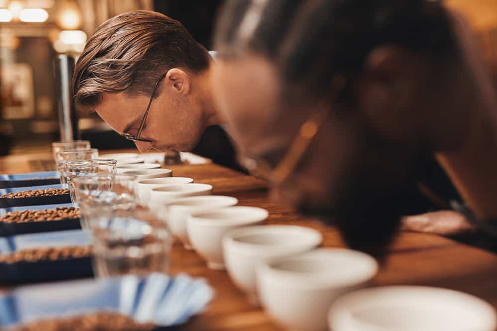 Professional baristas leaning over a row of freshly ground coffee, taking in the aroma, at a coffee tasting with different varieties of roasted coffee beans
